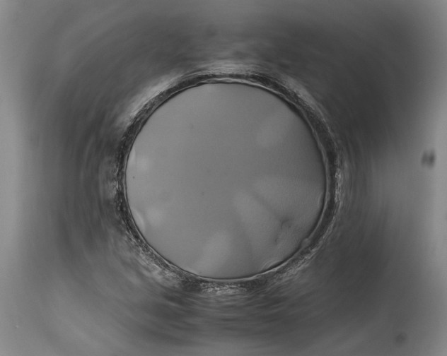 X0000114701213200911121533