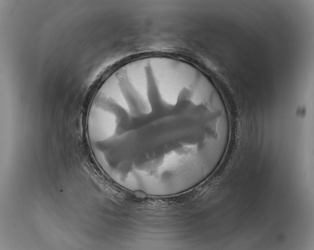 X0000114701214200911121533