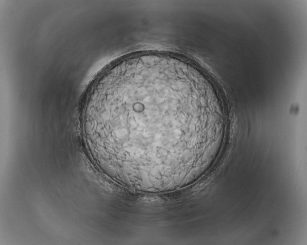 X0000114701215200911121533