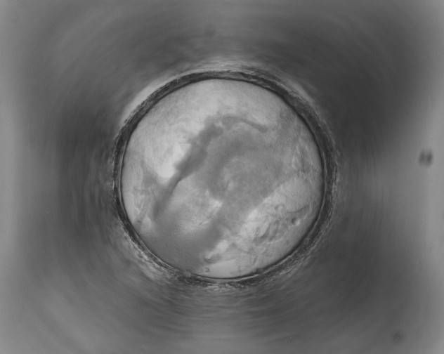 X0000114701216200911121533