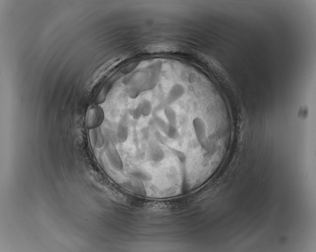 X0000114701217200911121533