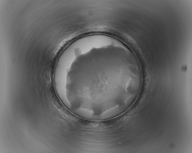 X0000114701218200911121533