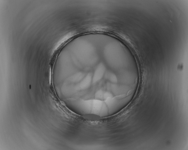 X0000114701219200911121533