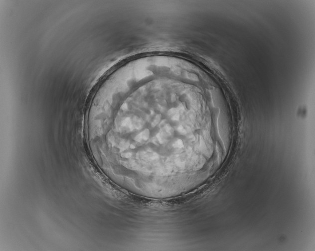 X0000114701220200911121533