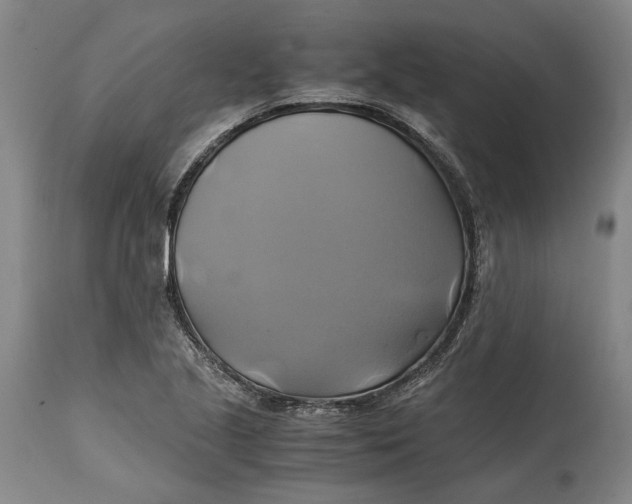 X0000114701221200911121533