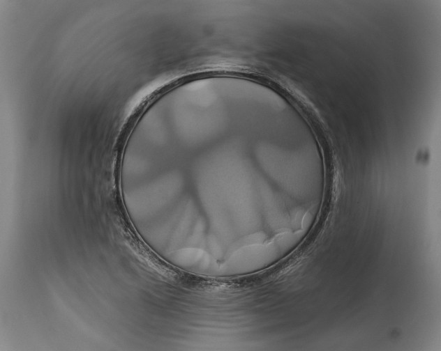 X0000114701222200911121533