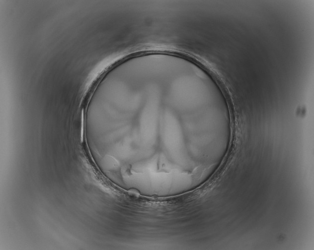 X0000114701223200911121533