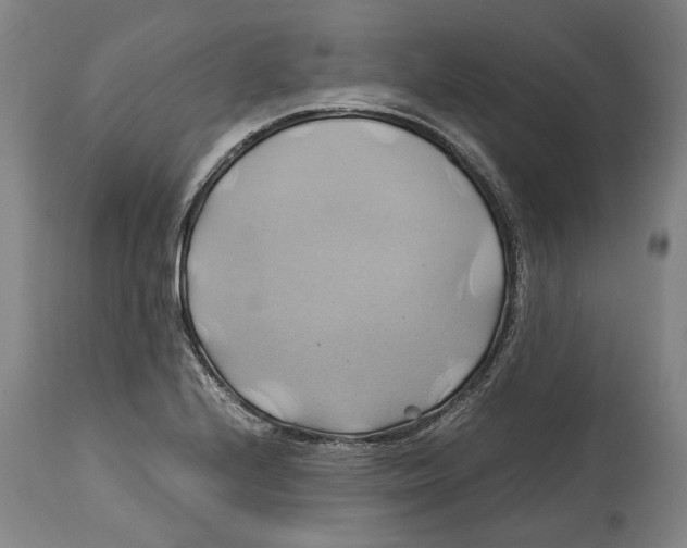 X0000114701224200911121533