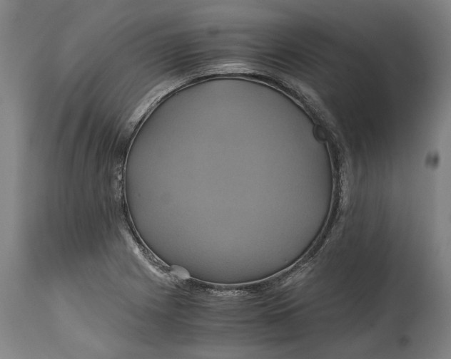 X0000114701225200911121533