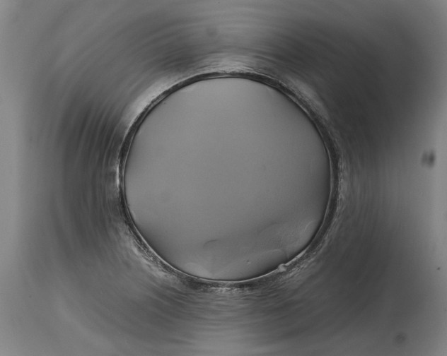 X0000114701226200911121533