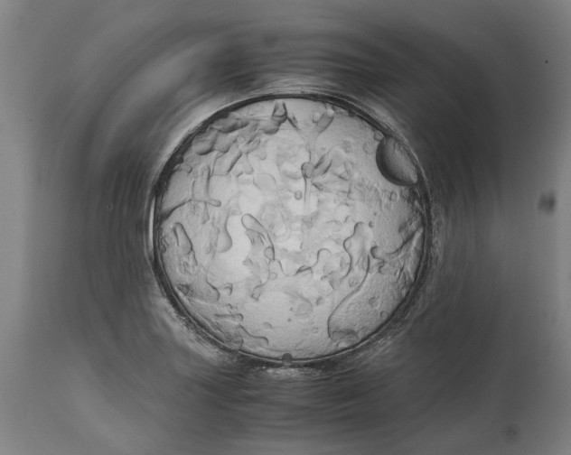 X0000114701227200911121533