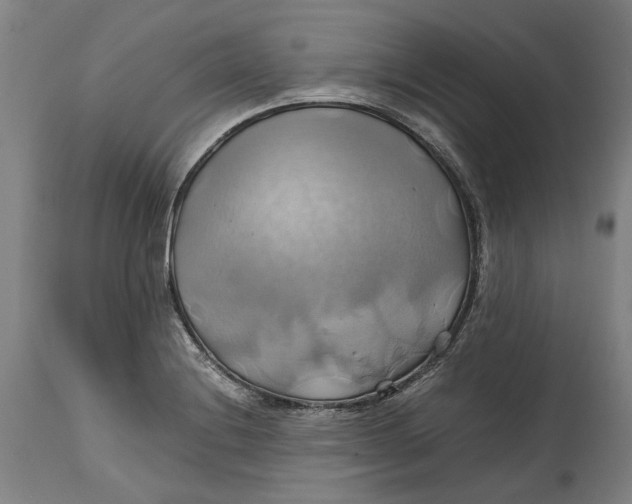 X0000114701228200911121533