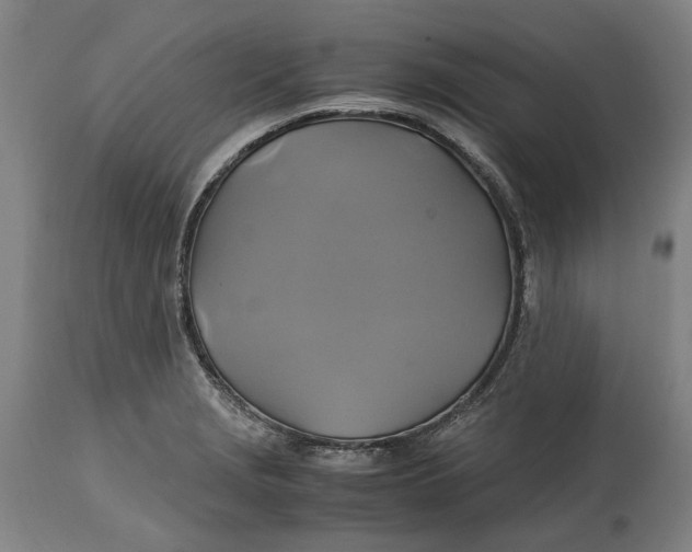 X0000114701229200911121533