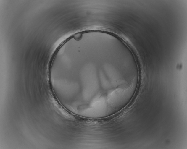 X0000114701230200911121533