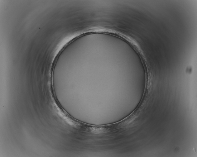 X0000114701231200911121533