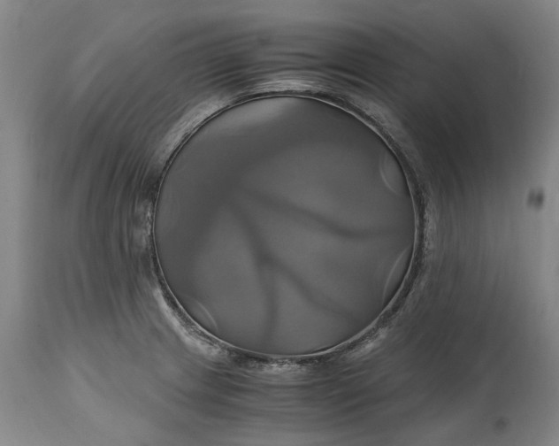 X0000114701233200911121533