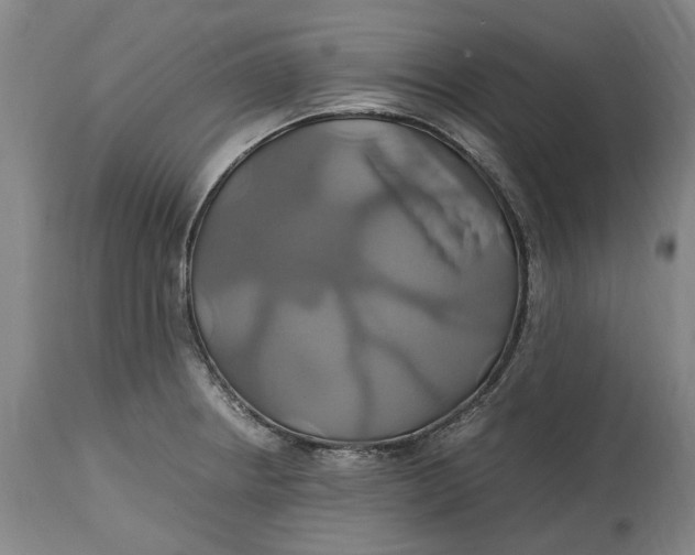 X0000114701234200911121533