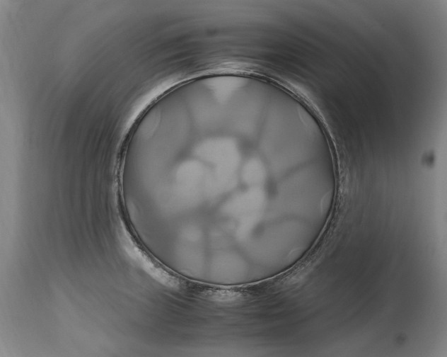 X0000114701235200911121533