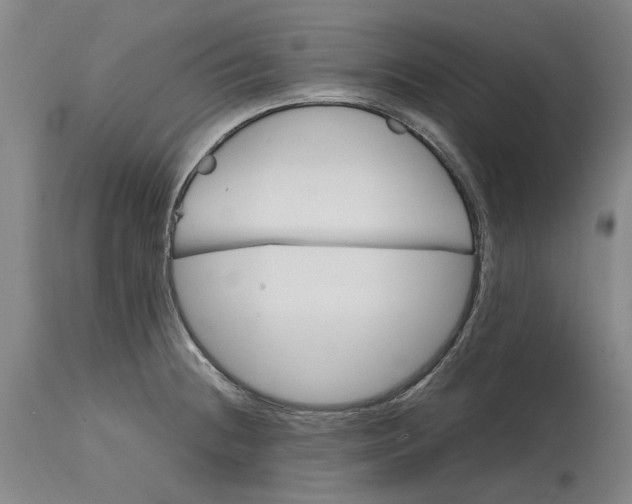 X0000114701236200911121533