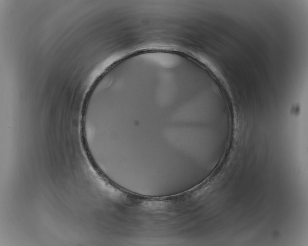 X0000114701237200911121533