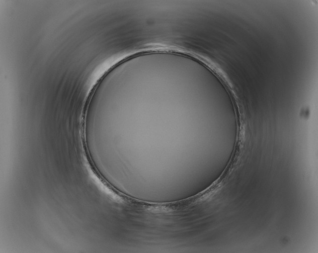 X0000114701239200911121533