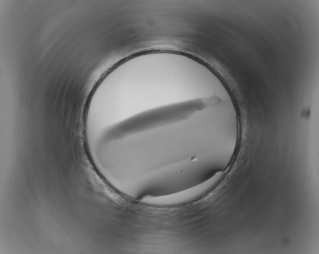 X0000114701240200911121533