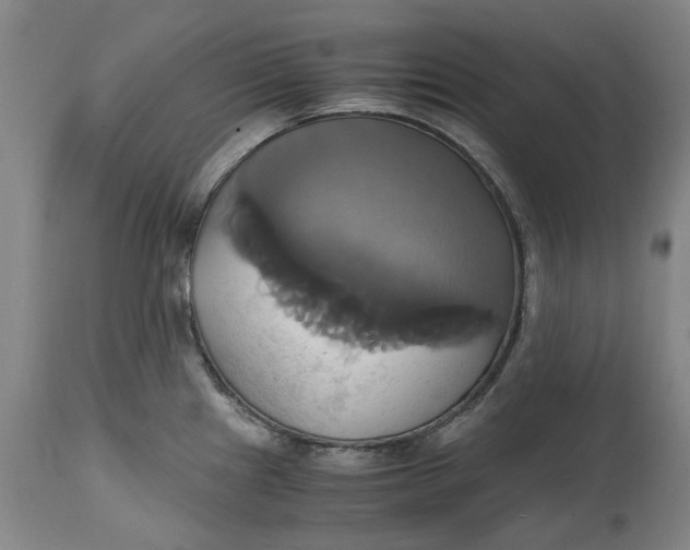 X0000114701241200911121533