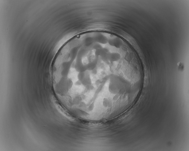 X0000114701242200911121533