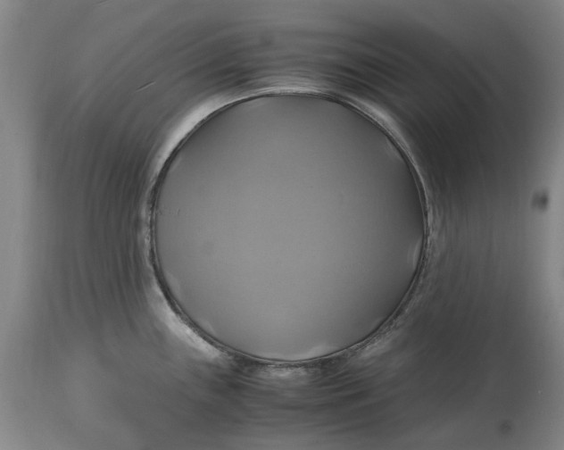 X0000114701243200911121533