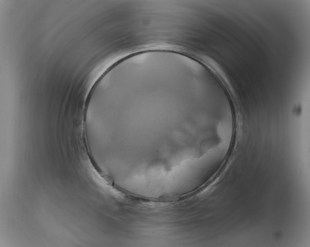 X0000114701244200911121533