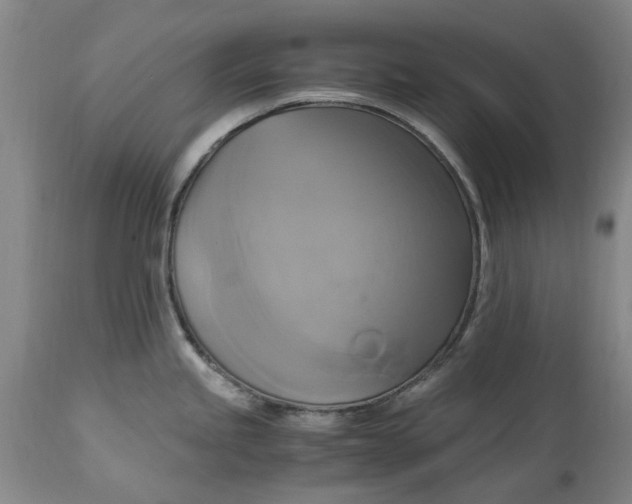 X0000114701245200911121533