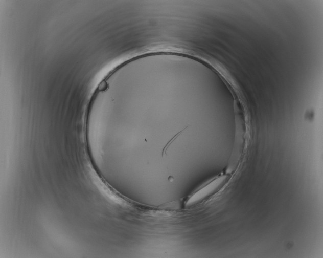 X0000114701246200911121533