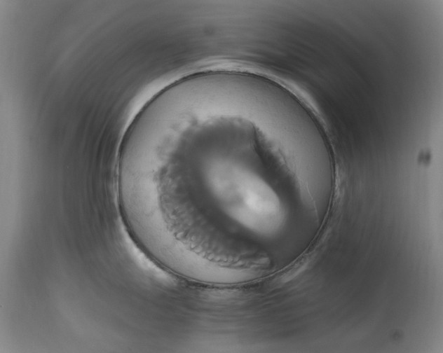 X0000114701247200911121533