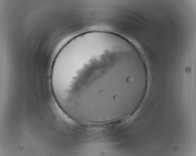 X0000114701248200911121533