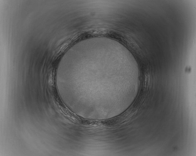 X0000114701250200911121532