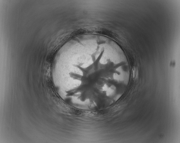 X0000114701251200911121532