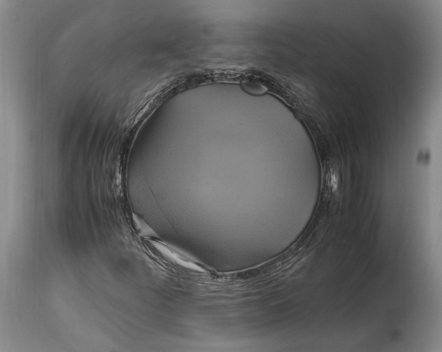 X0000114701252200911121532