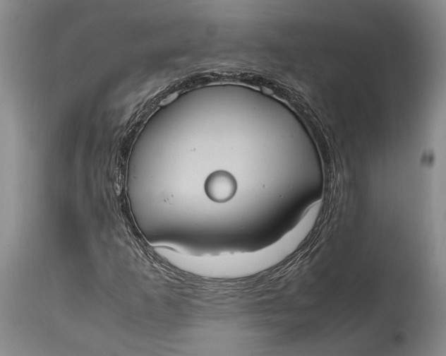 X0000114701253200911121532