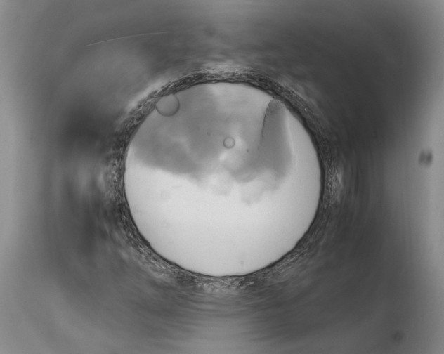 X0000114701254200911121532