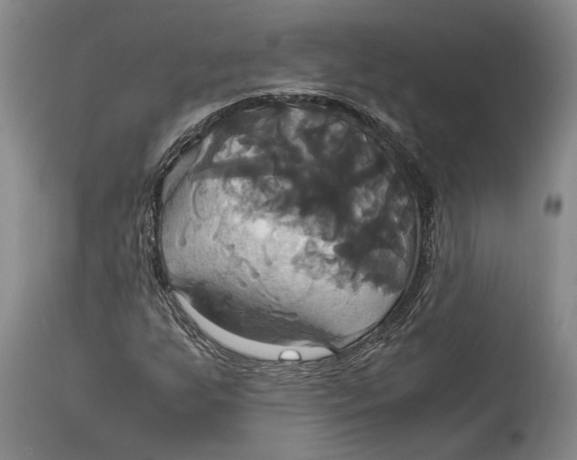 X0000114701255200911121532