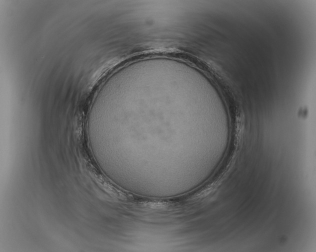 X0000114701257200911121532