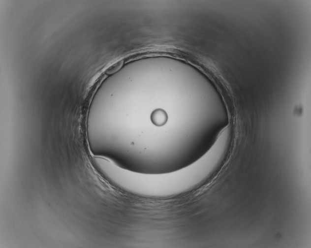 X0000114701260200911121532