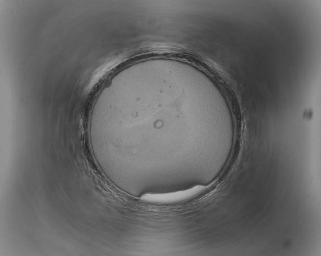 X0000114701261200911121532