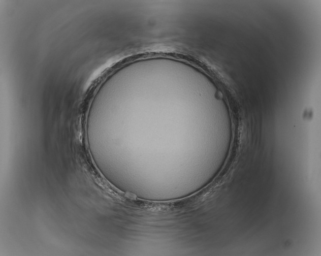 X0000114701262200911121532