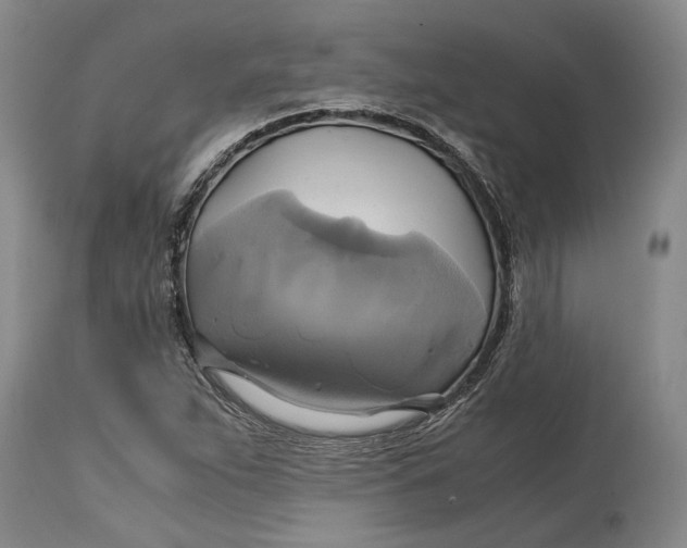 X0000114701263200911121532