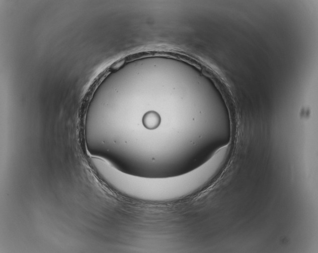 X0000114701264200911121532