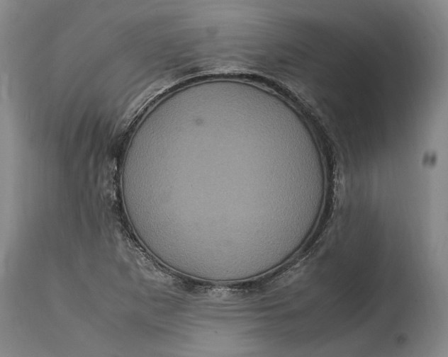 X0000114701265200911121532