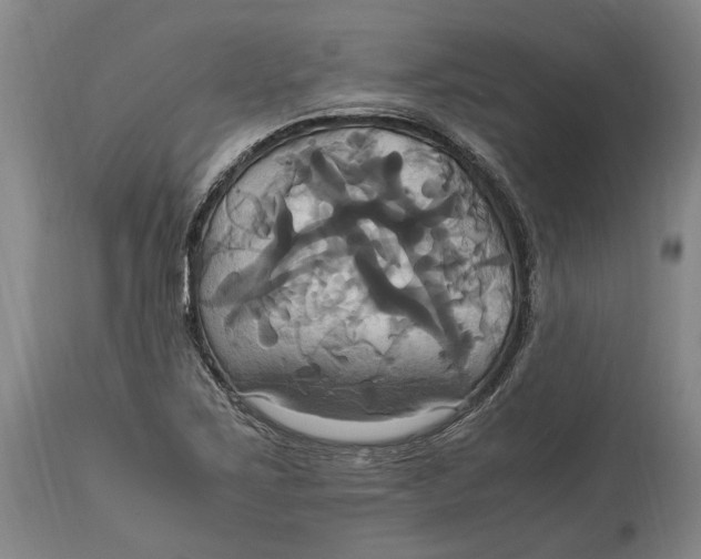 X0000114701267200911121532