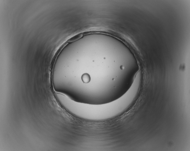 X0000114701268200911121532