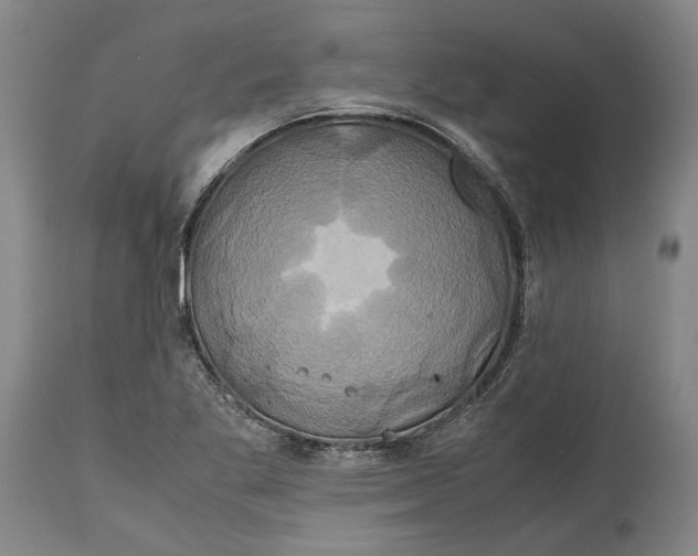 X0000114701269200911121532